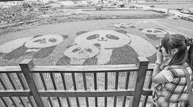 ���W�ϥ��Y�Ӻؤ��ː�q�P�ЕաL�����K���Y襶]