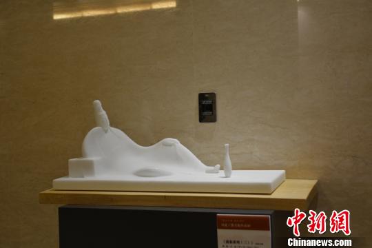 ���n�i�|�Y�T���������ѐ��ݕ��n�p ��