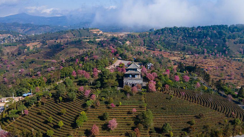 ���h��޳��z����} ��ɳ}��