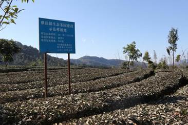 ���R: 8Q0A2463