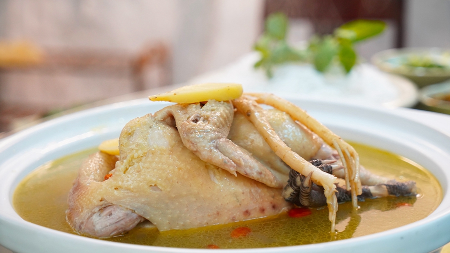 ������h�ޒ���L�����T�o