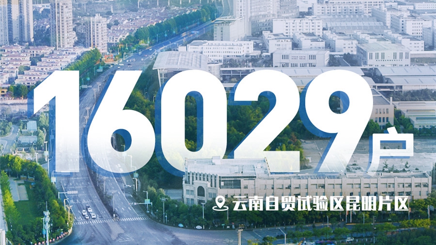 �L�p�������h�s�T��Q�[2020�e