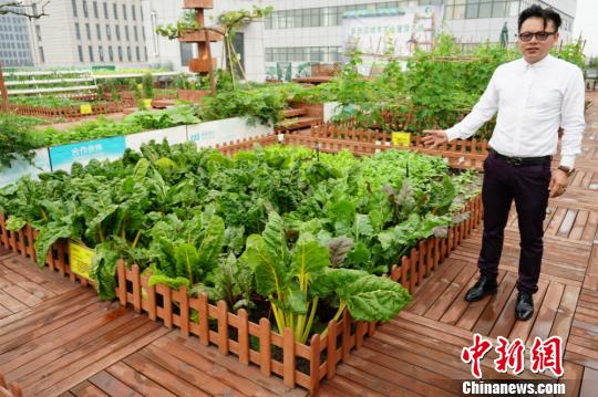 \2011eՕoqLޔIiBquϪ¥ؐv