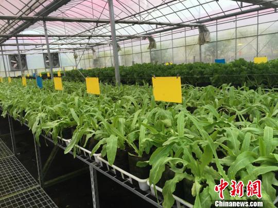 ���o�פƬ���b�d�z500�f�W���á������ӷs��i