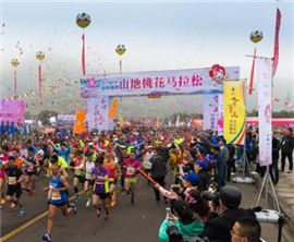 �������w���H�����J��ң�}�� ���ͣ��w������