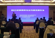 ���w������˒��N�����s�o �����s���������@�K