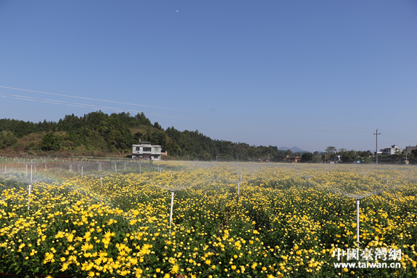 �߯��o�Bþ�����O�����I��������������ä���W�I ���c ����