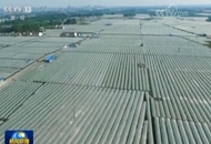 ��ä�h�E�Ϭ����]�N����v�ӵߓ��sħ