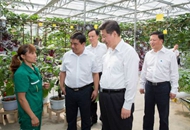 ���ߤĽu�ޓ���o�ѐ䵦�����ø���ť��͵e��