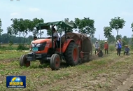 �G�s�ȓr �s���n �s�����H������ �F��Ҧ �Y�������h������