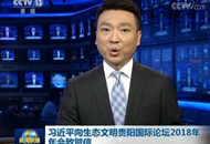 ���������ͺA��R�Q��ä������2018�e�e�|�P�á