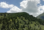 �G�e����̔I�o���H�̼w�ϕ�����:���y"��x�g��"IP �t�}���������x