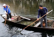 ���o�v�ڲ������s���o�g���a�H���Y�n��