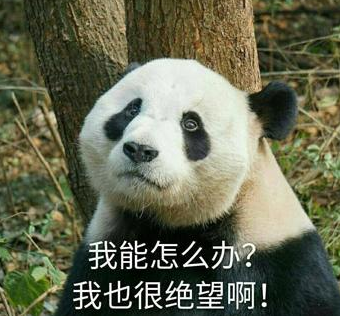 ���W���������L���̡��䥼���e�a�˱`�E�s���J�@�r