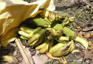 ���W����