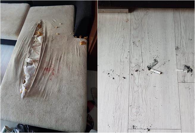 shsبeH sFy shsبeH sFy