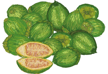 �Z�b�v����