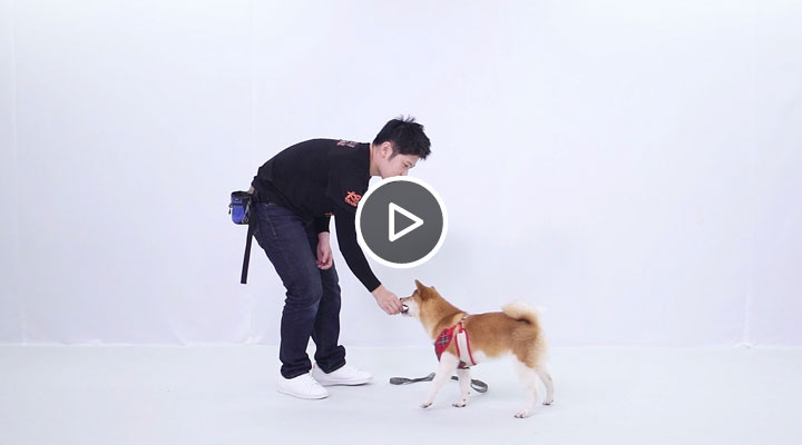 �g�ҺM�z���j�������ꡡ�l�N