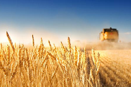 ��t�O���^�����E���~���n�h���f�������E���