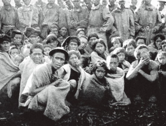 ���C�I���W�F�������~�q�Y�������k�y��