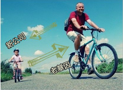 ���夬���I�����Y�L�q���H�D���{��