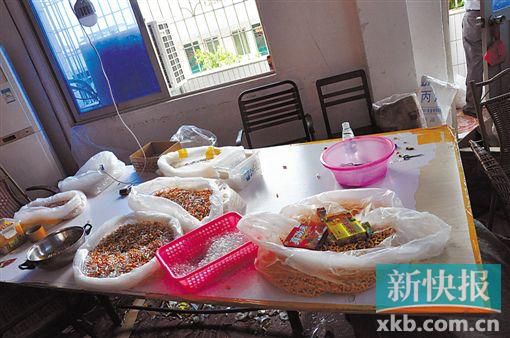 �d��ڨ�������w�A