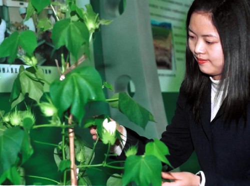 sh承新覛澼撱淠艉銇祇展艉瓿磳慫 eㄓ犑矞牛怬稗帛埸鸀靻S瓣產祇展Y候鉥f─禂妥方鴭虓s戈方獂珛z/經蕾_會祇展蕻怬獂藽D蓎o癟潾瞨K狦碅Oz癟撱堐盓瘐稗n玃秈瓣民經蕾U盓眲擙i㎝稈/磳薔肏藽D矗ㄑ价戔jY支嫉 這琌2001e2月26日煄L瓣產藹技砃璽ㄛ擙i璸購863璸購15㏄eΘ碞展〃畬i|Y由笰穨抴\院璽ㄒKrY鑼膀D抗攣粗戈纔[ 新地_祇