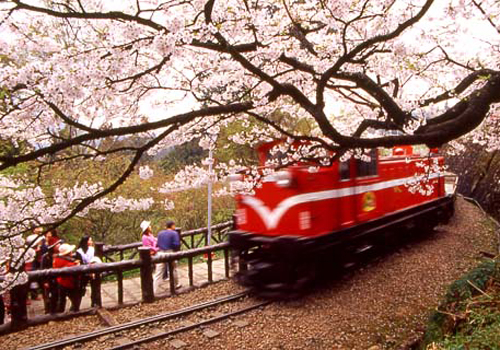 ��������������