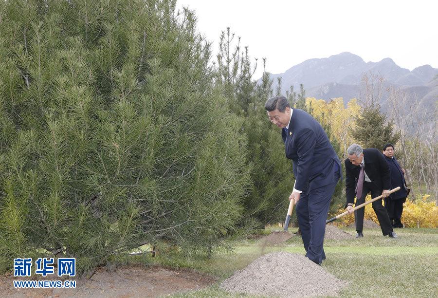 APECːߓrqxdҧ APECːߓrqxdҧ