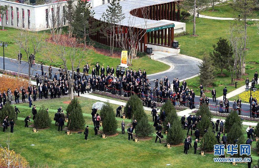 APECːߓrqxdҧ APECːߓrqxdҧ