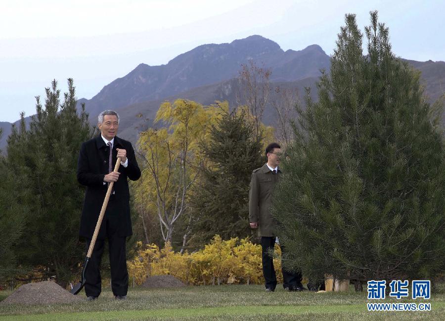 APECːߓrqxdҧ APECːߓrqxdҧ