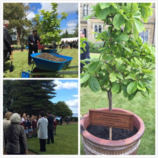 �W�z�s�յ�����^�������t��?