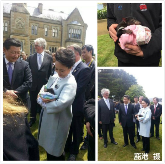 �W�z�s�յ�����^�������t��?