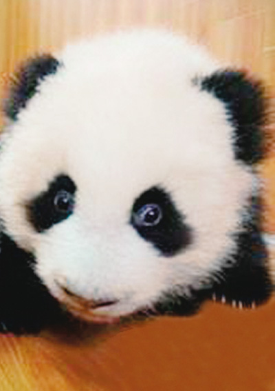 W{Lɡ䤰SYvʤߧ W{Lɡ䤰SYvʤߧ