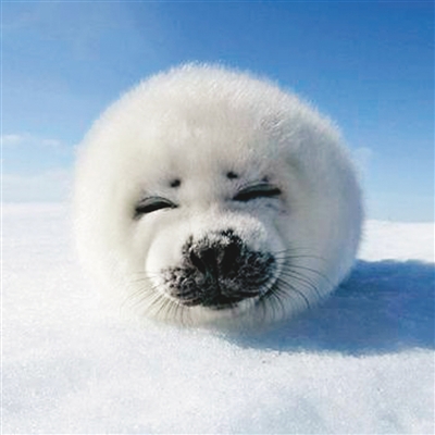 W{Lɡ䤰SYvʤߧ W{Lɡ䤰SYvʤߧ