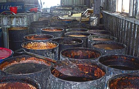 ���W�v�V�r�����I�Хʐ�