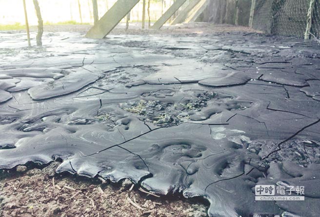 �߹�����10�O�e�����W�� �q�ưp�����s��