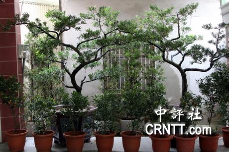 �_�����w�쨽�x�I�S�� �H�����a��Ԕe(����)