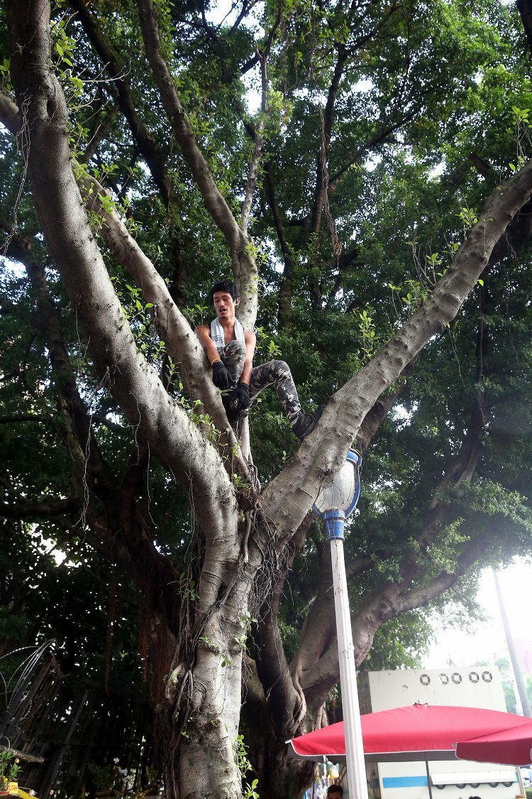 "����"�i�^�����ܤ�˒��A�r�j�L"�Ţf��" ���x�\��