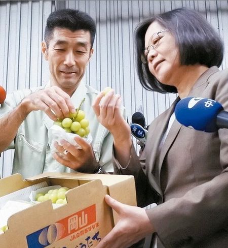 ���W�L���J���g100�����Y�����v�`�D�ٔU��