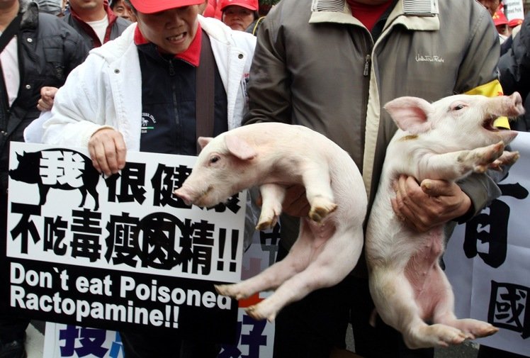 �����n�j��{ޮ���N�ɨ� ���Y���A��|����