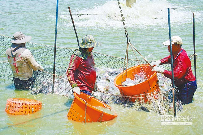 �w�h���ʡL�Ϥ��� ���ϴH���p�p�ܲ�����