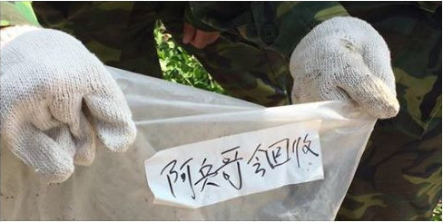 ���C�v�زM���v! ������J����j�Y�\��"�����s�O"