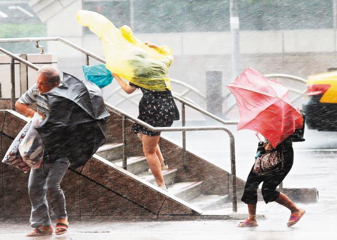 �塡�z�E��"�����w"�ܥѿا��饬�������w���v�Ŕ�