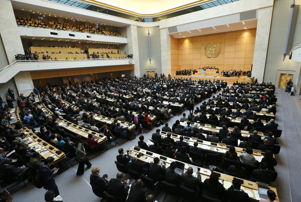 ��C�y���@��:�L"�Ȓʓ���" ���W���O����WHA�O�s��.jpg