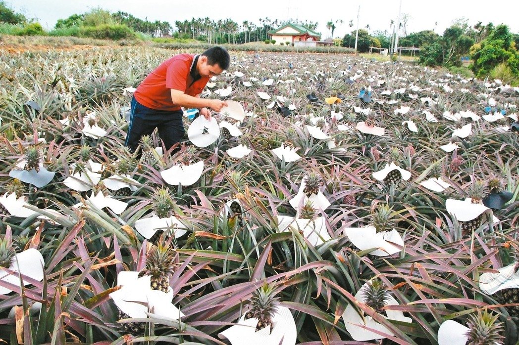 JfͲd Bpkeœ JfͲd Bpkeœ