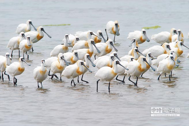 ا}aHWqjH@ʒä̵ ا}aHWqjH@ʒä̵