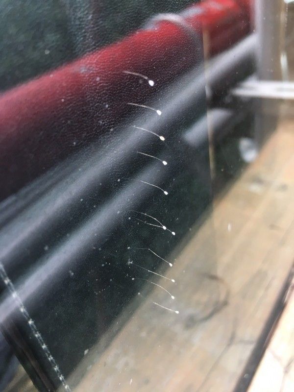 ����β{ޮ�\:��¨�����Y������ ��r�K�J�Y�ȧ��y