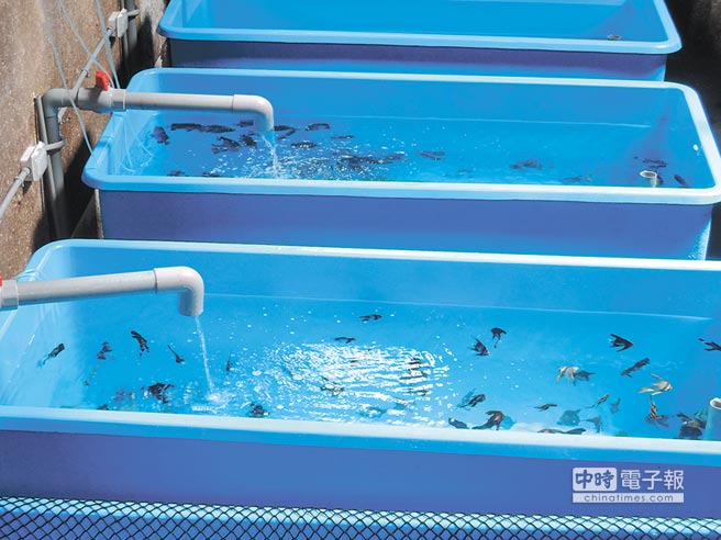 ���C�C�i�ӓ����I�O���ِ�5�f�I�O������1�ۨ������ʕ[��������W�K���ȹq��p�L��