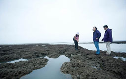 ��I�ͥ����Y��Q������LͲ�X�֡����_�����d�Y���y